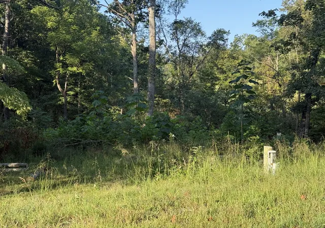 Photo 2 of Land for sale at 1190 Bell Holw Rd, Vanleer, TN 37181 | MLS# 3597408 | Listing updated on 2026-09-24