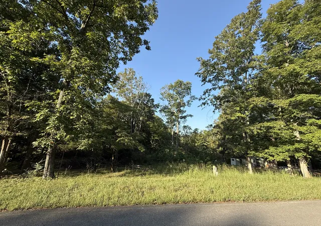 Photo 3 of Land for sale at 1190 Bell Holw Rd, Vanleer, TN 37181 | MLS# 3597408 | Listing updated on 2026-09-24