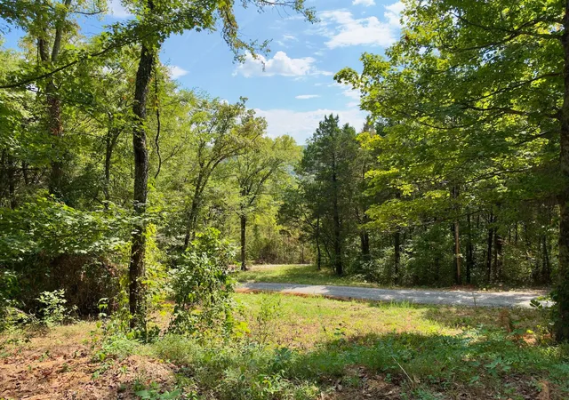 Photo 3 of Land for sale at 0 Ford Ln, Bradyville, TN 37026 | MLS# 3597416 | Listing updated on 2026-09-23