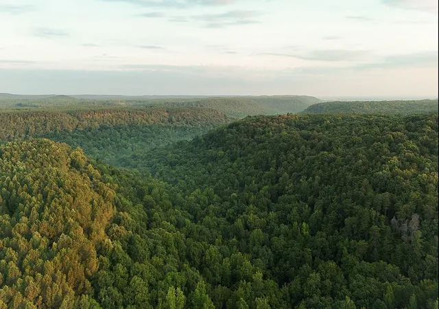 Photo 1 of Land for sale at 0 Wagnon Mountain Rd, Tuscumbia, AL 35674 | MLS# 3597494 | Listing updated on 2026-09-22