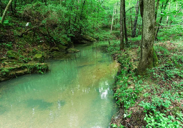 Photo 4 of Land for sale at 0 Wagnon Mountain Rd, Tuscumbia, AL 35674 | MLS# 3597494 | Listing updated on 2026-09-22