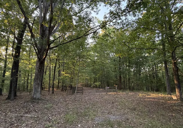 Photo 2 of Land for sale at 0 Magnolia Ln, Normandy, TN 37360 | MLS# 3597867 | Listing updated on 2026-09-23