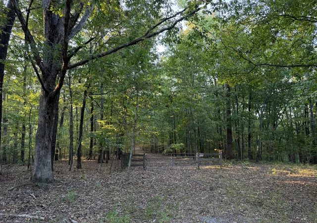 Photo 3 of Land for sale at 0 Magnolia Ln, Normandy, TN 37360 | MLS# 3597867 | Listing updated on 2026-09-23
