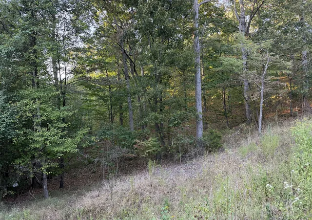 Photo 3 of Land for sale at 0 Magnolia Ln, Normandy, TN 37360 | MLS# 3597867 | Listing updated on 2026-09-23