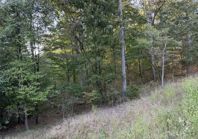 Photo 4 of Land for sale at 0 Magnolia Ln, Normandy, TN 37360 | MLS# 3597867 | Listing updated on 2026-09-23