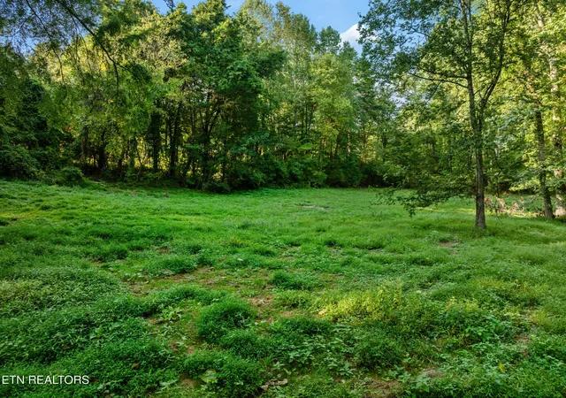 Photo 4 of Single family home for sale at 4331 Cabbage Dr, Knoxville, TN 37938 | MLS# 3597502 | Listing updated on 2026-10-08