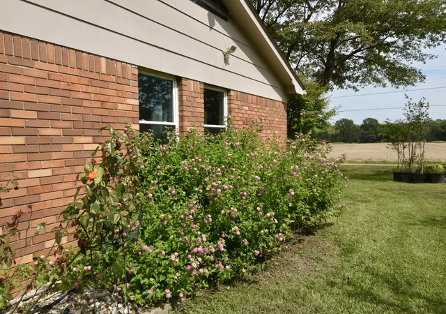 Photo 3 of Single family home for sale at 161 Highway 152, Medina, TN 38355 | MLS# 3597536 | Listing updated on 2026-10-05