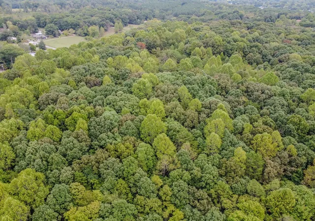 Photo 3 of Land for sale at 0 Decatur Pike, Athens, TN 37303 | MLS# 3598078 | Listing updated on 2026-09-23