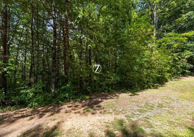 Photo 2 of Land for sale at 7 Timber Ln Ct, Turtletown, TN 37391 | MLS# 3597580 | Listing updated on 2026-09-22