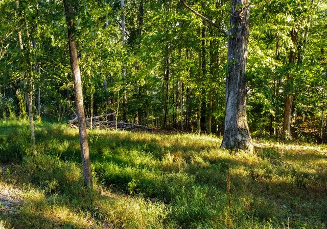 Photo 3 of Single family home for sale at 1745 Cumberland Hts Rd, Clarksville, TN 37040 | MLS# 3597648 | Listing updated on 2026-09-25
