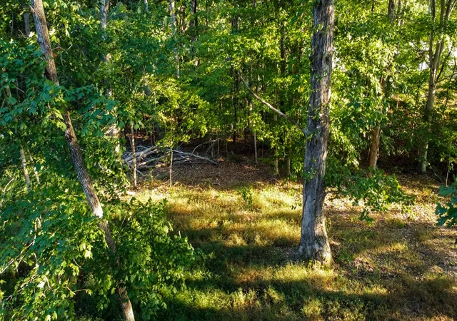 Photo 4 of Single family home for sale at 1745 Cumberland Hts Rd, Clarksville, TN 37040 | MLS# 3597648 | Listing updated on 2026-09-25