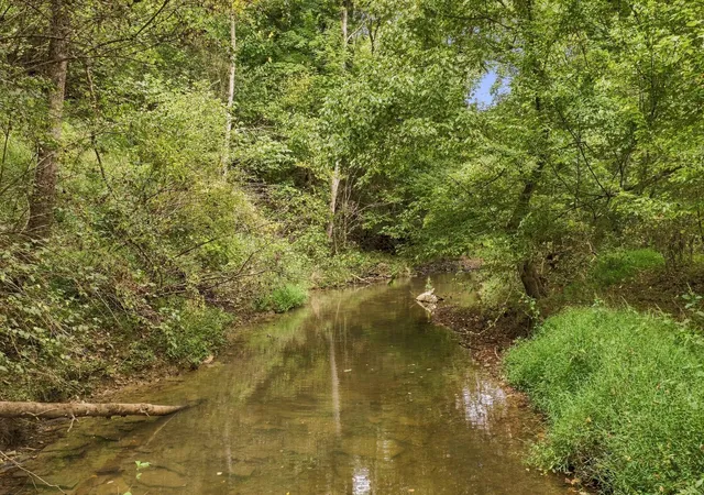 Single family home for sale at 933 Harsh Ln, Castalian Springs, TN 37031 | MLS# 3598622