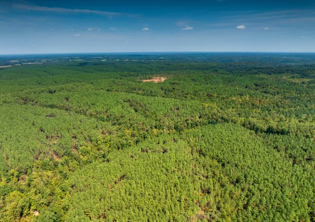Land for sale at 179 Wr Klippel Rd, Hohenwald, TN 38462 | MLS# 3598122