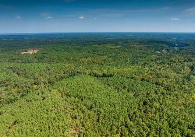 Photo 2 of Land for sale at 179 Wr Klippel Rd, Hohenwald, TN 38462 | MLS# 3598122 | Listing updated on 2026-09-30