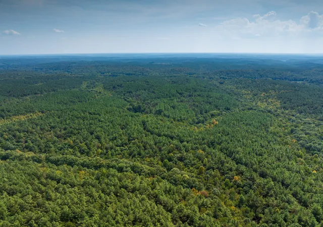 Photo 3 of Land for sale at 179 Wr Klippel Rd, Hohenwald, TN 38462 | MLS# 3598122 | Listing updated on 2026-09-30