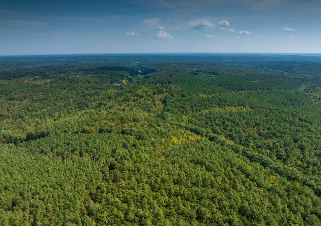 Photo 3 of Land for sale at 179 Wr Klippel Rd, Hohenwald, TN 38462 | MLS# 3598122 | Listing updated on 2026-09-30