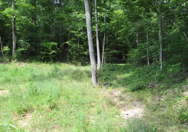 Photo 1 of Land for sale at 1613 Red Bank Crk Rd, Lobelville, TN 37097 | MLS# 3597850 | Listing updated on 2026-09-22