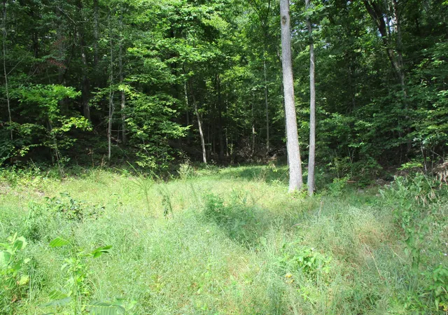 Photo 2 of Land for sale at 1613 Red Bank Crk Rd, Lobelville, TN 37097 | MLS# 3597850 | Listing updated on 2026-09-22