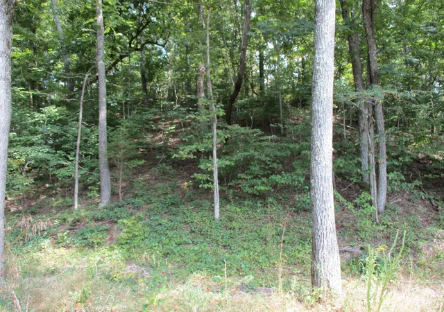 Photo 3 of Land for sale at 1613 Red Bank Crk Rd, Lobelville, TN 37097 | MLS# 3597850 | Listing updated on 2026-09-22