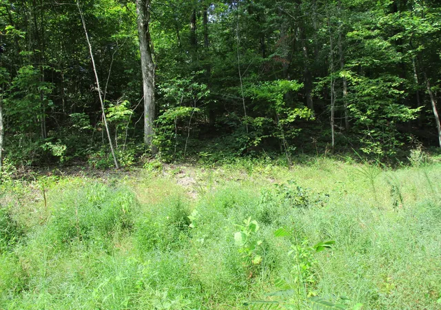 Photo 3 of Land for sale at 1613 Red Bank Crk Rd, Lobelville, TN 37097 | MLS# 3597850 | Listing updated on 2026-09-22