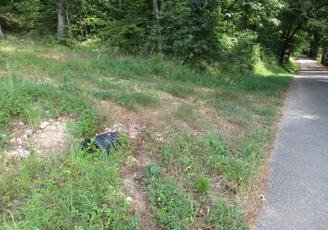 Photo 4 of Land for sale at 1613 Red Bank Crk Rd, Lobelville, TN 37097 | MLS# 3597850 | Listing updated on 2026-09-22