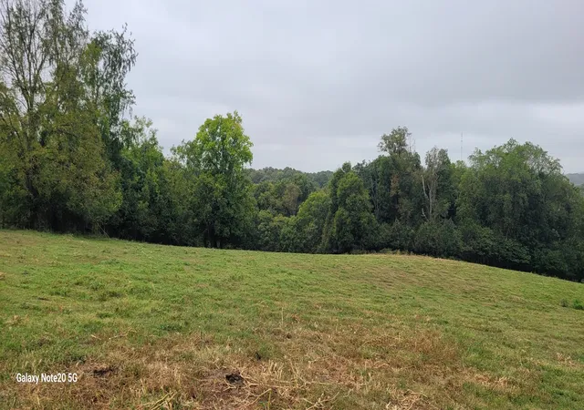 Land for sale at 1 Haley Rd, College Grove, TN 37046 | MLS# 3611066