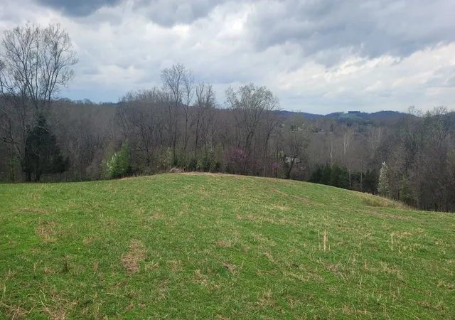 Photo 2 of Land for sale at 1 Haley Rd, College Grove, TN 37046 | MLS# 3611066 | Listing updated on 2026-10-03