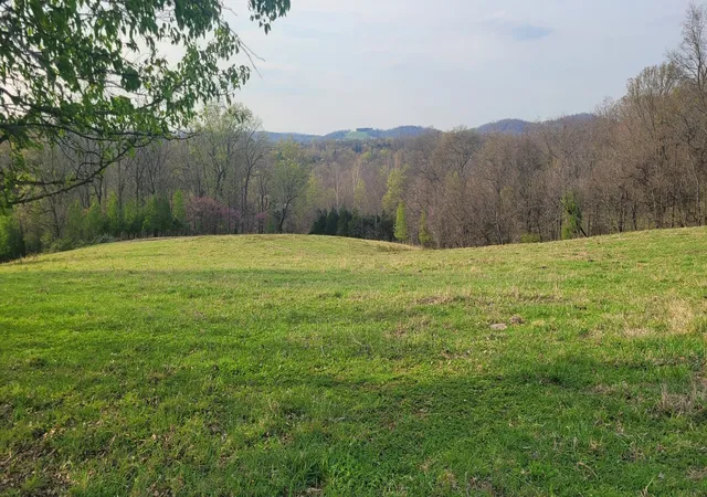 Photo 3 of Land for sale at 1 Haley Rd, College Grove, TN 37046 | MLS# 3611066 | Listing updated on 2026-10-03