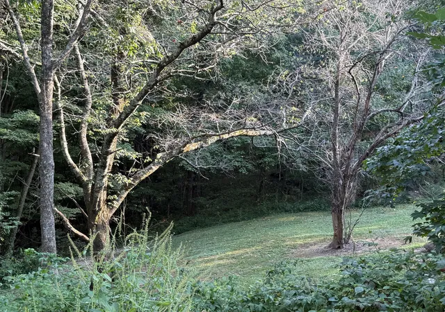 Photo 3 of Single family home for sale at 835 Vowell Mountain Ln, Rocky Top, TN 37769 | MLS# 3597838 | Listing updated on 2026-09-24