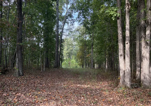 Photo 2 of Land for sale at 0 Stage Coach Rd, Sewanee, TN 37375 | MLS# 3598136 | Listing updated on 2026-09-23