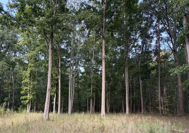 Photo 3 of Land for sale at 0 Stage Coach Rd, Sewanee, TN 37375 | MLS# 3598136 | Listing updated on 2026-09-23