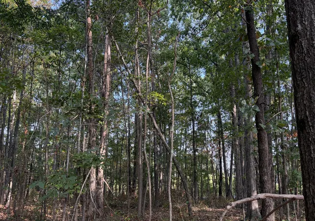 Photo 3 of Land for sale at 0 Stage Coach Rd, Sewanee, TN 37375 | MLS# 3598136 | Listing updated on 2026-10-05