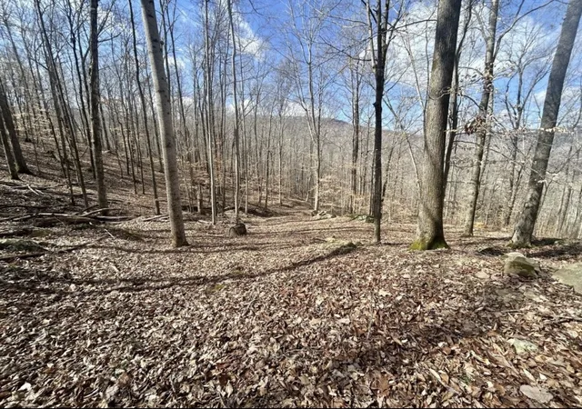 Photo 1 of Land for sale at 10127 Rocky River Rd, Rock Island, TN 38581 | MLS# 3598464 | Listing updated on 2026-10-08