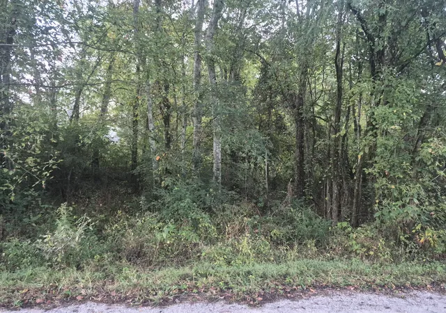Photo 1 of Land for sale at 1 Dixon Town Rd, Prospect, TN 38477 | MLS# 3612687 | Listing updated on 2026-10-10