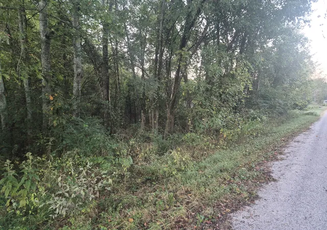 Photo 2 of Land for sale at 1 Dixon Town Rd, Prospect, TN 38477 | MLS# 3612687 | Listing updated on 2026-10-10