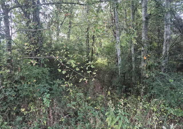 Photo 3 of Land for sale at 1 Dixon Town Rd, Prospect, TN 38477 | MLS# 3612687 | Listing updated on 2026-10-10