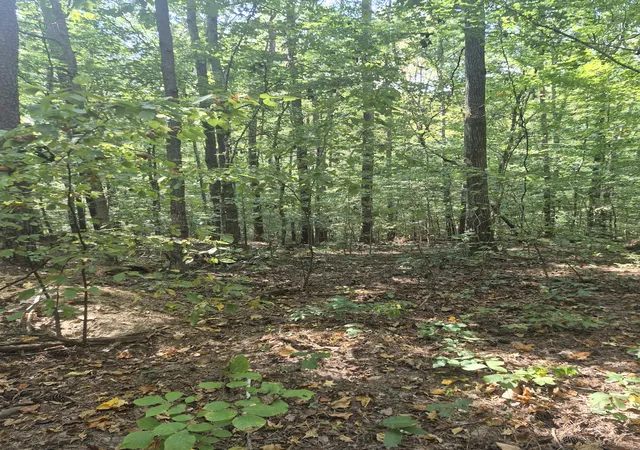 Photo 1 of Land for sale at 1318 Turkey Crk Rd, Dickson, TN 37055 | MLS# 3601978 | Listing updated on 2026-10-07