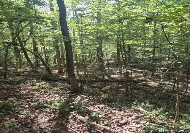 Photo 3 of Land for sale at 1318 Turkey Crk Rd, Dickson, TN 37055 | MLS# 3601978 | Listing updated on 2026-10-07