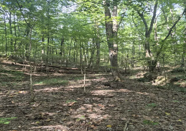 Photo 3 of Land for sale at 1318 Turkey Crk Rd, Dickson, TN 37055 | MLS# 3601978 | Listing updated on 2026-10-07