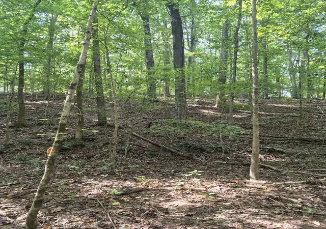 Photo 4 of Land for sale at 1318 Turkey Crk Rd, Dickson, TN 37055 | MLS# 3601978 | Listing updated on 2026-10-07