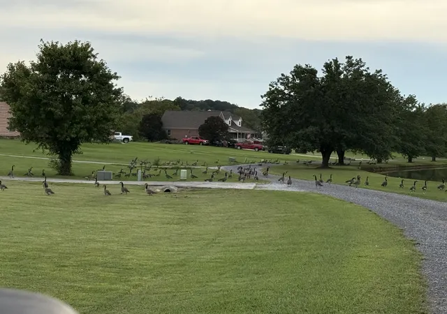 Photo 10 of Land for sale at 0 Pinhook Rd, Calhoun, TN 37309 | MLS# 3598028 | Listing updated on 2026-09-23