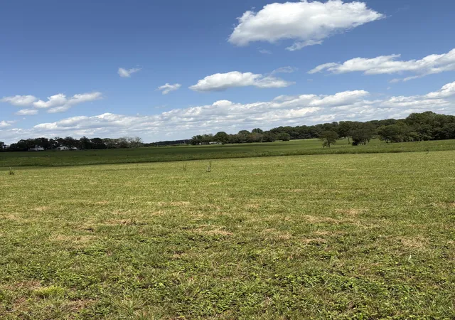 Photo 4 of Land for sale at 1 Seven Springs, Smithville, TN 37166 | MLS# 3598162 | Listing updated on 2026-09-24