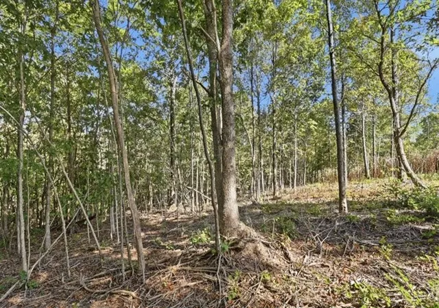 Photo 3 of Land for sale at 468 Streamside Dr, Dover, TN 37058 | MLS# 3601892 | Listing updated on 2026-09-28