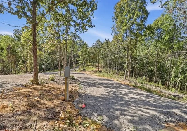 Photo 3 of Land for sale at 468 Streamside Dr, Dover, TN 37058 | MLS# 3601892 | Listing updated on 2026-09-28
