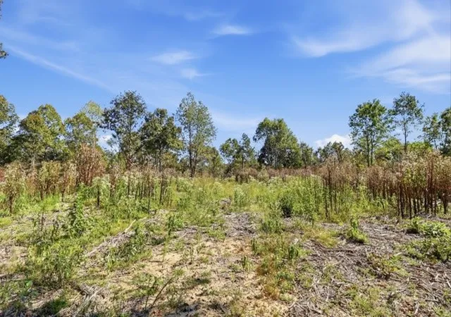Photo 4 of Land for sale at 468 Streamside Dr, Dover, TN 37058 | MLS# 3601892 | Listing updated on 2026-09-28
