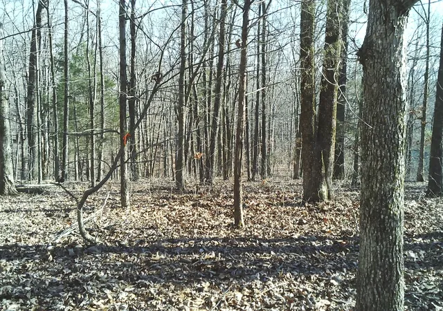 Photo 2 of Land for sale at 0 Eaglet Ct, Dover, TN 37058 | MLS# 3598124 | Listing updated on 2026-09-23