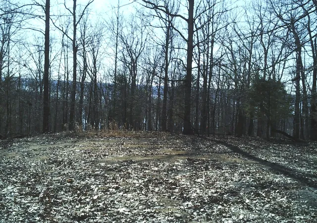 Photo 3 of Land for sale at 0 Eaglet Ct, Dover, TN 37058 | MLS# 3598124 | Listing updated on 2026-09-23