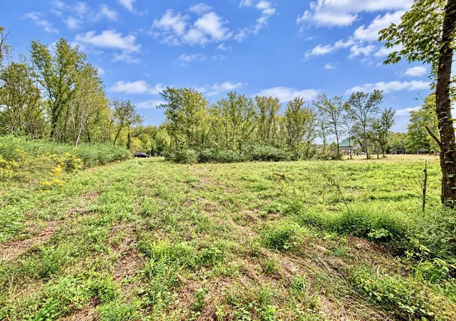 Photo 3 of Land for sale at 0 Spruce Dr, Linden, TN 37096 | MLS# 3598341 | Listing updated on 2026-09-23