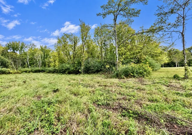 Photo 4 of Land for sale at 0 Spruce Dr, Linden, TN 37096 | MLS# 3598341 | Listing updated on 2026-09-23