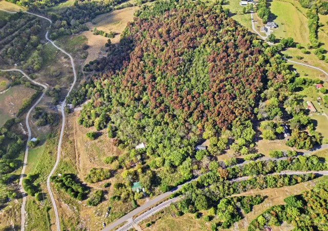 Photo 4 of Land for sale at 1570 Holmes Gap Rd, Watertown, TN 37184 | MLS# 3598174 | Listing updated on 2026-10-08